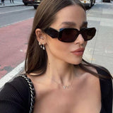 Paloma - Óculos de Sol