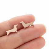 Brincos de Estudo de Dachshund