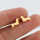Brincos de Estudo de Dachshund