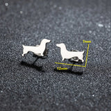 Brincos de Estudo de Dachshund
